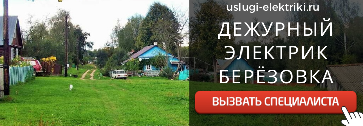 Дежурный электрик, аварийный вызов электрика в деревню Берёзовка